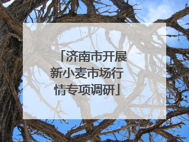 济南市开展新小麦市场行情专项调研