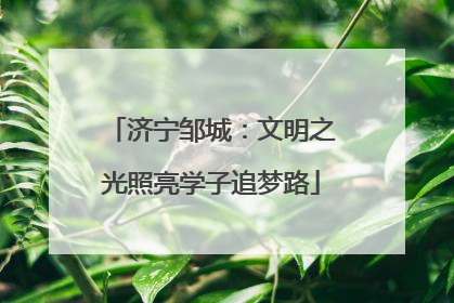 济宁邹城：文明之光照亮学子追梦路