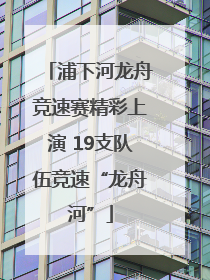 浦下河龙舟竞速赛精彩上演 19支队伍竞速“龙舟河”