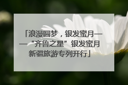 浪漫圆梦，银发蜜月——“齐鲁之星”银发蜜月新疆旅游专列开行