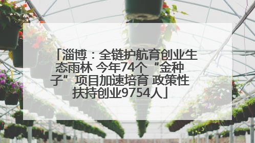 淄博：全链护航育创业生态雨林 今年74个“金种子”项目加速培育 政策性扶持创业9754人