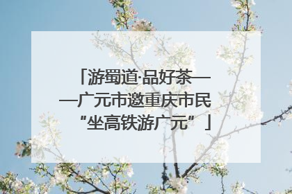 游蜀道·品好茶——广元市邀重庆市民“坐高铁游广元”