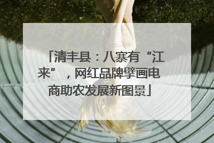 清丰县：八寨有“江来”，网红品牌擘画电商助农发展新图景