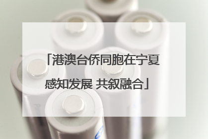 港澳台侨同胞在宁夏感知发展 共叙融合