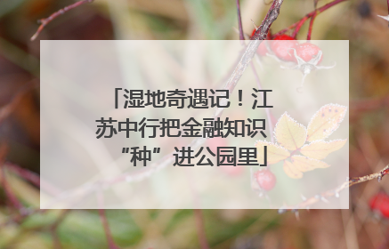 湿地奇遇记！江苏中行把金融知识“种”进公园里