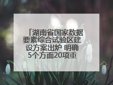 湖南省国家数据要素综合试验区建设方案出炉 明确5个方面20项重点任务