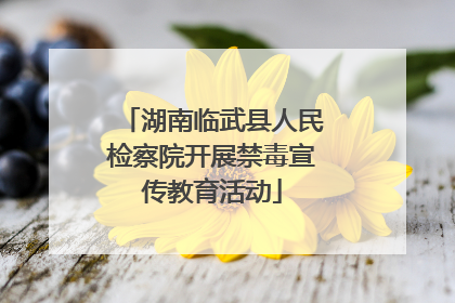 湖南临武县人民检察院开展禁毒宣传教育活动