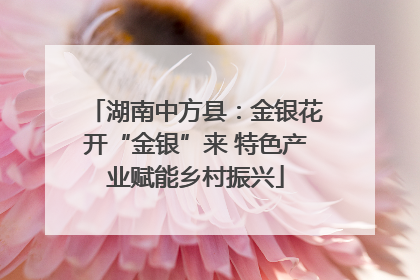湖南中方县：金银花开“金银”来 特色产业赋能乡村振兴