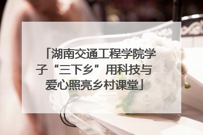 湖南交通工程学院学子“三下乡”用科技与爱心照亮乡村课堂