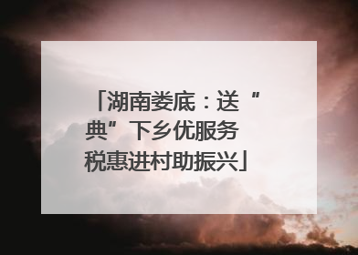 湖南娄底：送“典”下乡优服务 税惠进村助振兴