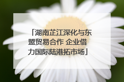 湖南芷江深化与东盟贸易合作 企业借力国际陆港拓市场
