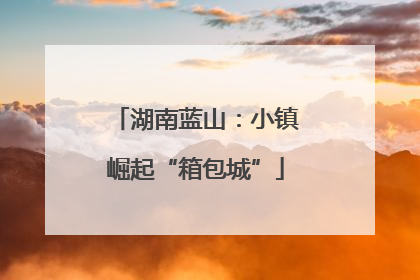 湖南蓝山：小镇崛起“箱包城”