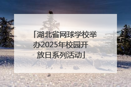 湖北省网球学校举办2025年校园开放日系列活动