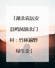 湖北省远安县鸣凤镇北门村：竹林遍野绿生金
