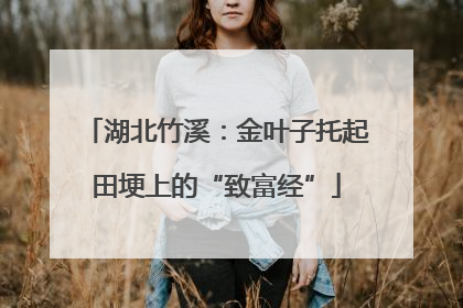 湖北竹溪：金叶子托起田埂上的“致富经”