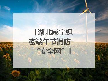 湖北咸宁织密端午节消防“安全网”