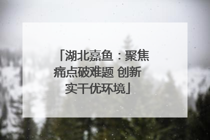 湖北嘉鱼：聚焦痛点破难题 创新实干优环境