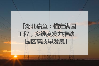 湖北嘉鱼：锚定满园工程，多维度发力推动园区高质量发展
