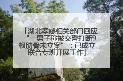 湖北孝感相关部门回应“一男子称被交警打断9根肋骨未立案”：已成立联合专班开展工作