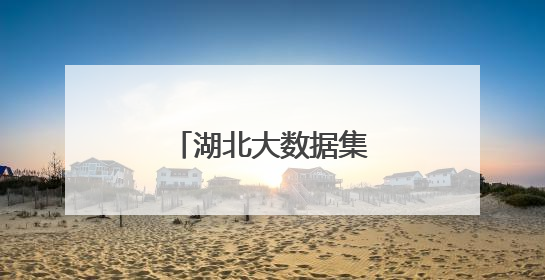 湖北大数据集团正式成立