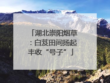 湖北崇阳烟草：白芨田间扬起丰收“号子”