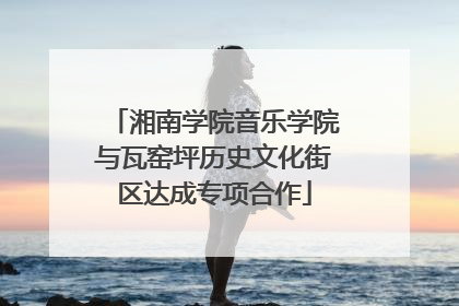 湘南学院音乐学院与瓦窑坪历史文化街区达成专项合作
