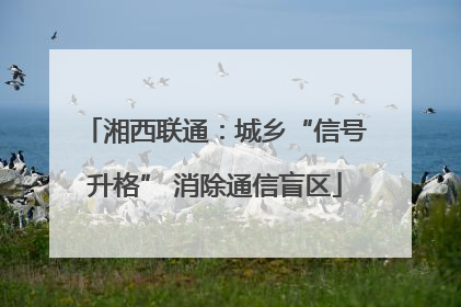 湘西联通：城乡“信号升格” 消除通信盲区