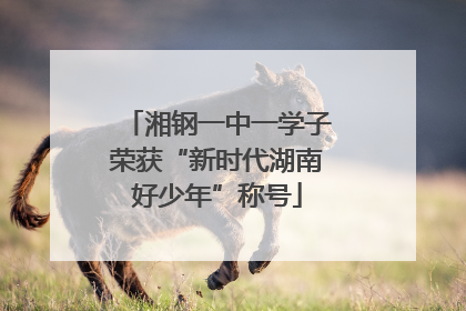 湘钢一中一学子荣获“新时代湖南好少年”称号