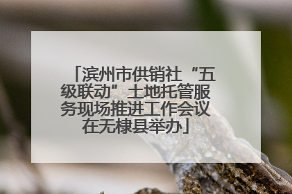 滨州市供销社“五级联动”土地托管服务现场推进工作会议在无棣县举办