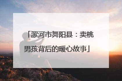 漯河市舞阳县：卖桃男孩背后的暖心故事