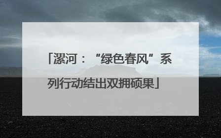漯河：“绿色春风”系列行动结出双拥硕果