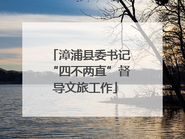 漳浦县委书记“四不两直”督导文旅工作