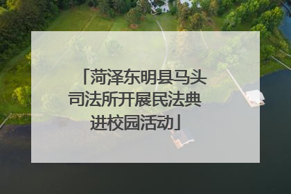 菏泽东明县马头司法所开展民法典进校园活动