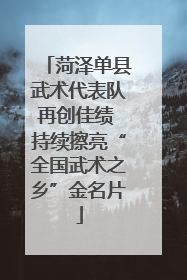 菏泽单县武术代表队再创佳绩 持续擦亮“全国武术之乡”金名片