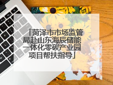 菏泽市市场监管局赴山东海辰储能一体化零碳产业园项目帮扶指导