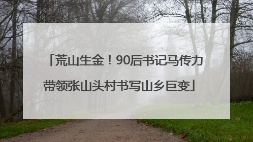 荒山生金！90后书记马传力带领张山头村书写山乡巨变