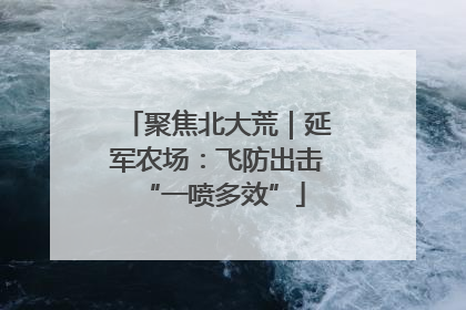 聚焦北大荒｜延军农场：飞防出击 “一喷多效”
