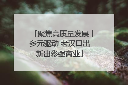 聚焦高质量发展丨多元驱动 老汉口出新出彩强商业