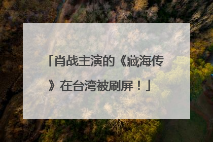 肖战主演的《藏海传》在台湾被刷屏！