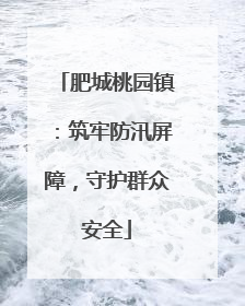肥城桃园镇：筑牢防汛屏障，守护群众安全