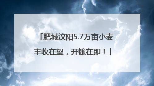 肥城汶阳5.7万亩小麦丰收在望，开镰在即！