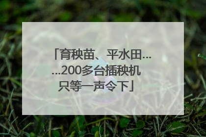 育秧苗、平水田……200多台插秧机只等一声令下