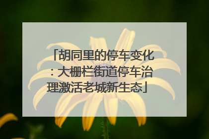胡同里的停车变化：大栅栏街道停车治理激活老城新生态