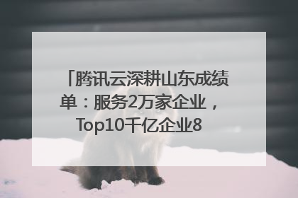 腾讯云深耕山东成绩单：服务2万家企业，Top10千亿企业8家选择腾讯云
