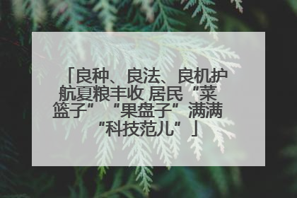 良种、良法、良机护航夏粮丰收 居民“菜篮子”“果盘子”满满“科技范儿”