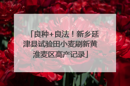 良种+良法！新乡延津县试验田小麦刷新黄淮麦区高产记录