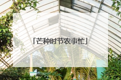 芒种时节农事忙
