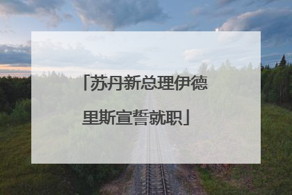苏丹新总理伊德里斯宣誓就职