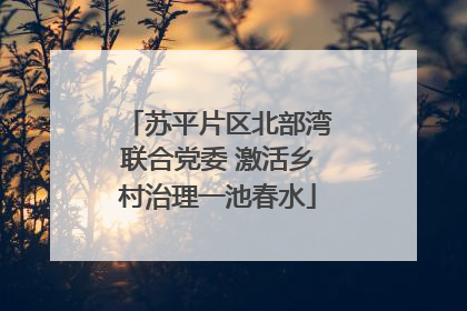 苏平片区北部湾联合党委 激活乡村治理一池春水