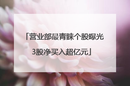 营业部最青睐个股曝光 3股净买入超亿元